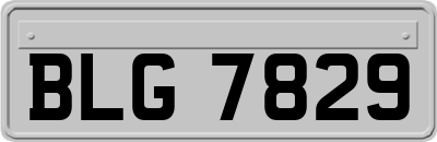 BLG7829