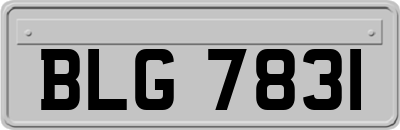 BLG7831