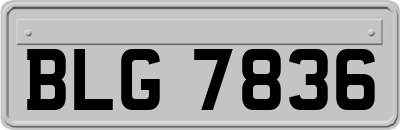 BLG7836