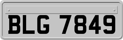 BLG7849
