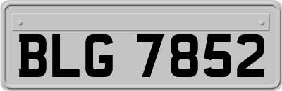 BLG7852