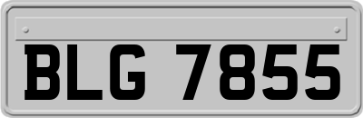 BLG7855