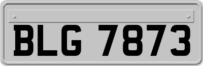 BLG7873