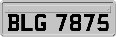 BLG7875
