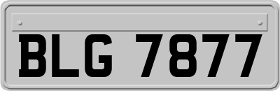 BLG7877