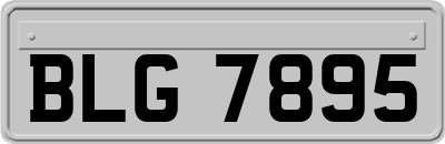 BLG7895