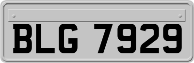 BLG7929