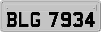BLG7934