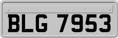 BLG7953