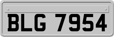 BLG7954