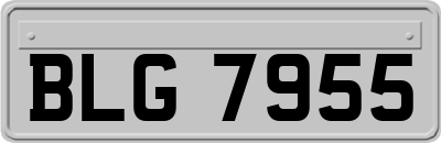 BLG7955