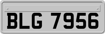 BLG7956