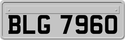 BLG7960