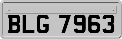 BLG7963