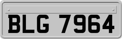BLG7964