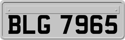 BLG7965