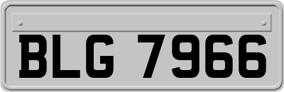 BLG7966
