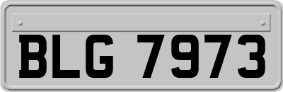 BLG7973