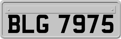 BLG7975