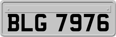 BLG7976