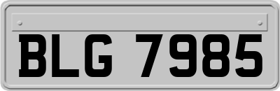 BLG7985