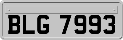 BLG7993
