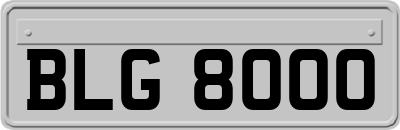 BLG8000