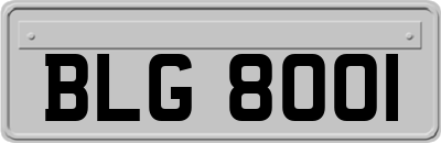 BLG8001