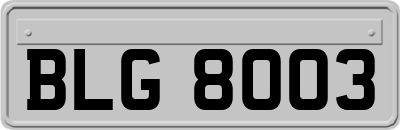 BLG8003