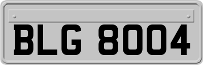 BLG8004