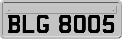 BLG8005