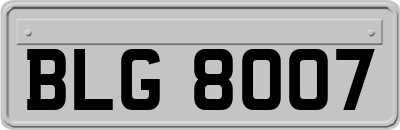 BLG8007