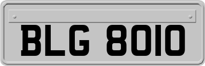 BLG8010