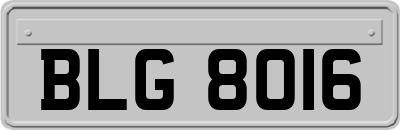 BLG8016