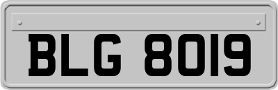 BLG8019