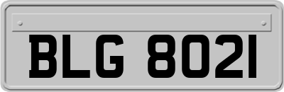 BLG8021