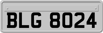 BLG8024