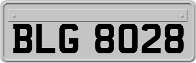 BLG8028