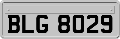 BLG8029
