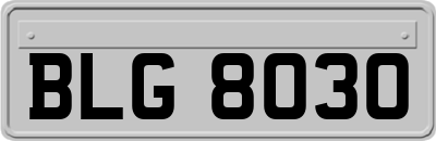 BLG8030