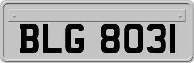 BLG8031
