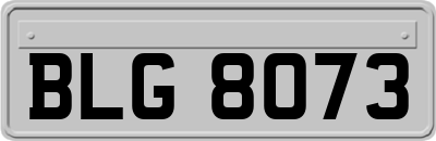 BLG8073