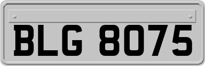 BLG8075
