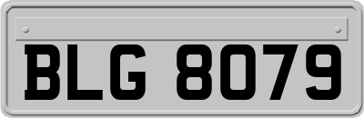 BLG8079