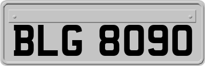 BLG8090