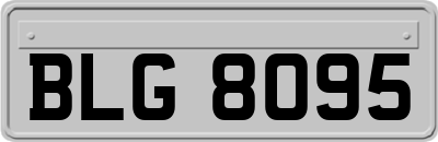 BLG8095