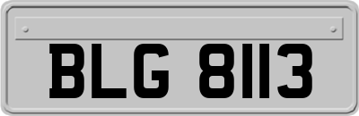 BLG8113