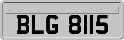 BLG8115