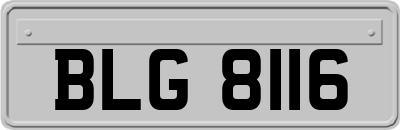 BLG8116