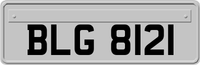 BLG8121